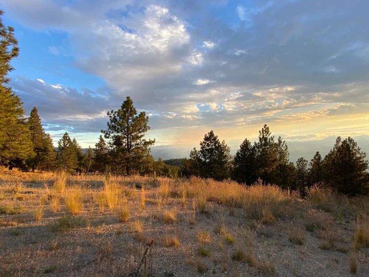 Lot-Lot 32 Sasquatch Trail, Osoyoos, BC, V0H 1V6