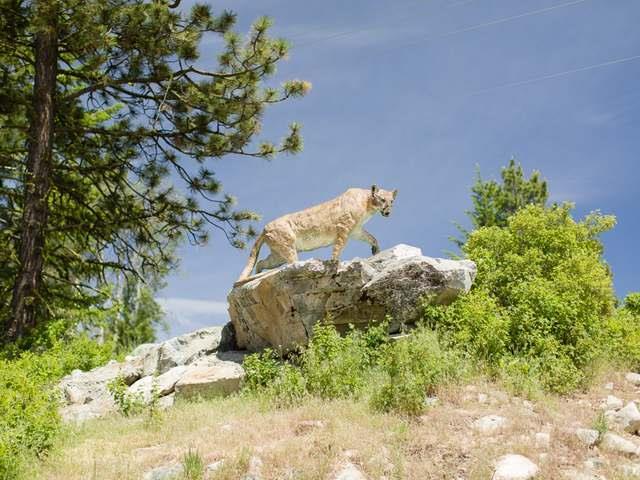 Lot 2 Cougar Court, Osoyoos, BC, V0H 1V6