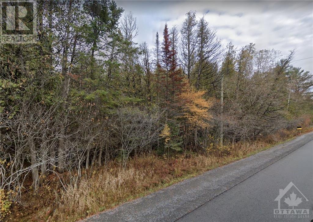 2981 Richardson Side Road  