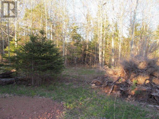 Lot Macrae Dr  