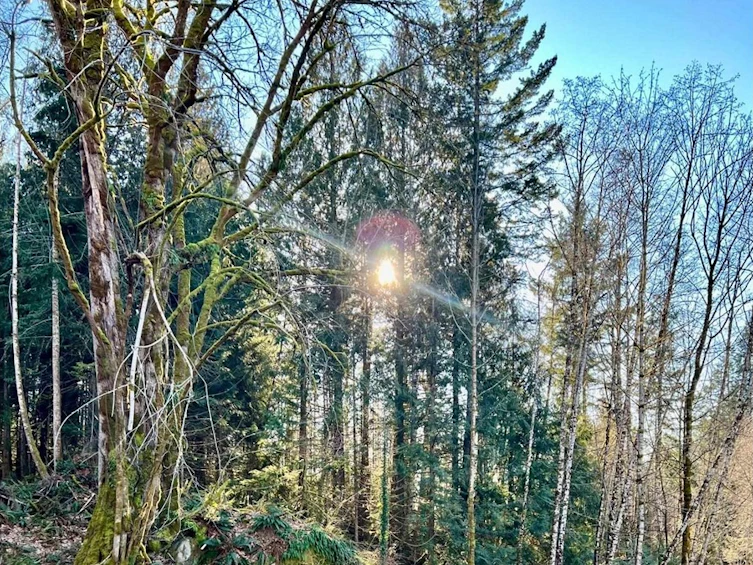Lot 2 Priestland Road, Halfmoon Bay, BC, V7Z 1B2