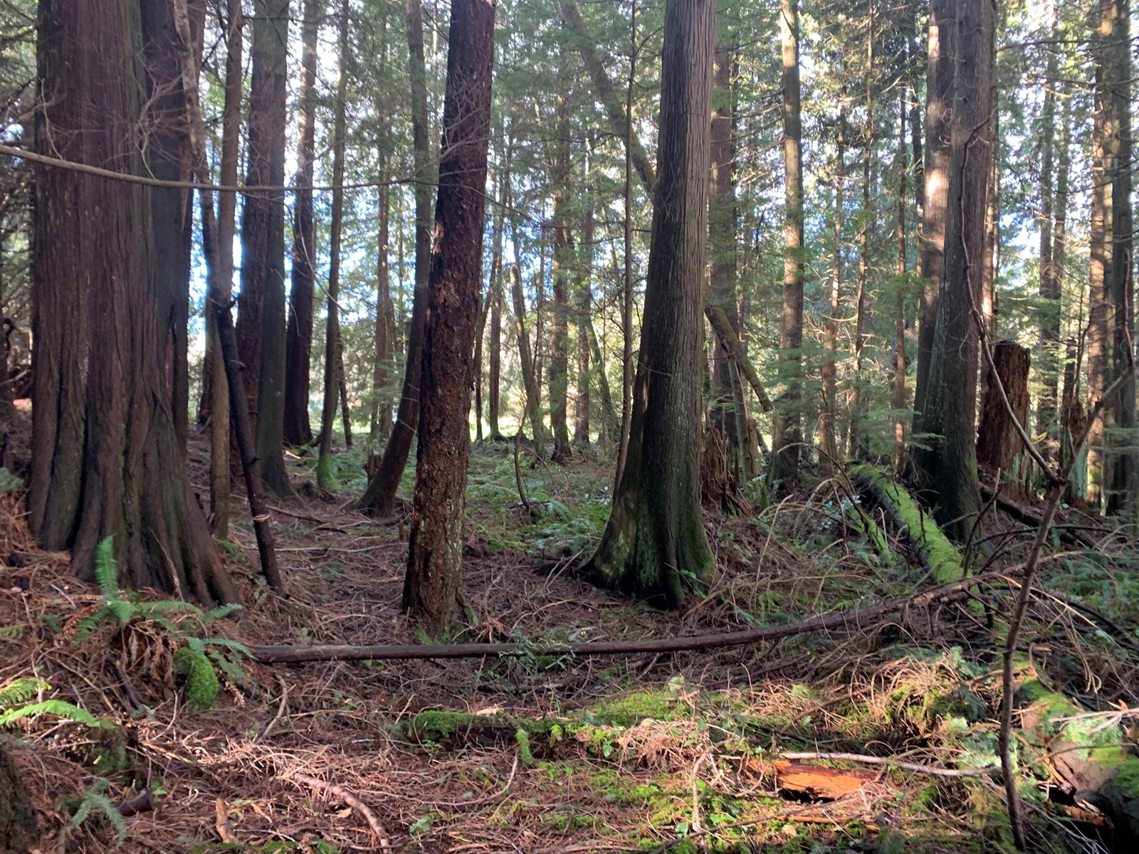 Lot 5 North Road, Gibsons, BC, V0N 1V1