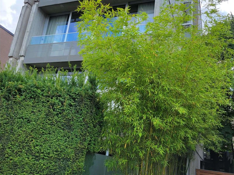 200 - 2386 Cornwall Avenue, Vancouver BC V6K 1B7