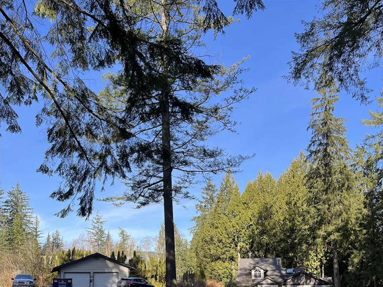 11237 280 Street, Maple Ridge, BC, V2V 1L6