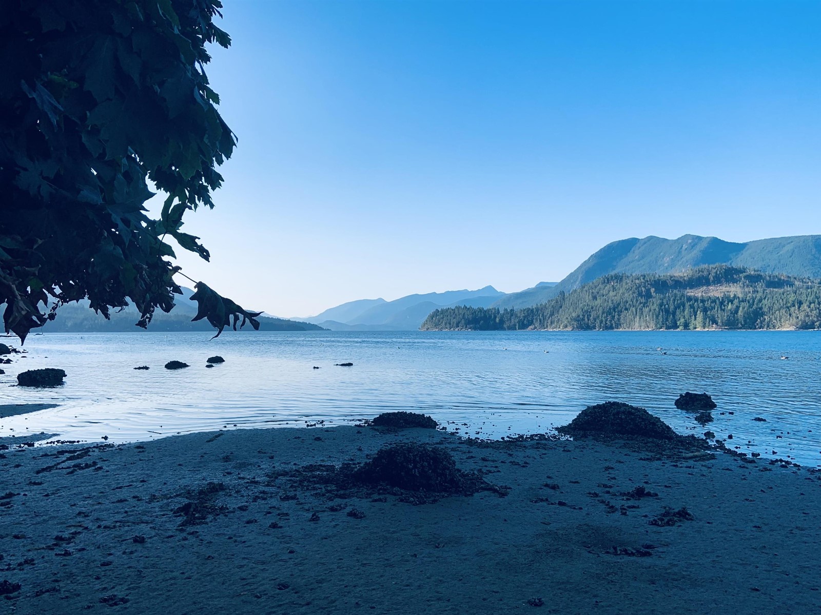 Lot-LOT 18 North Gale Avenue, Sechelt, BC, V7Z 0L1