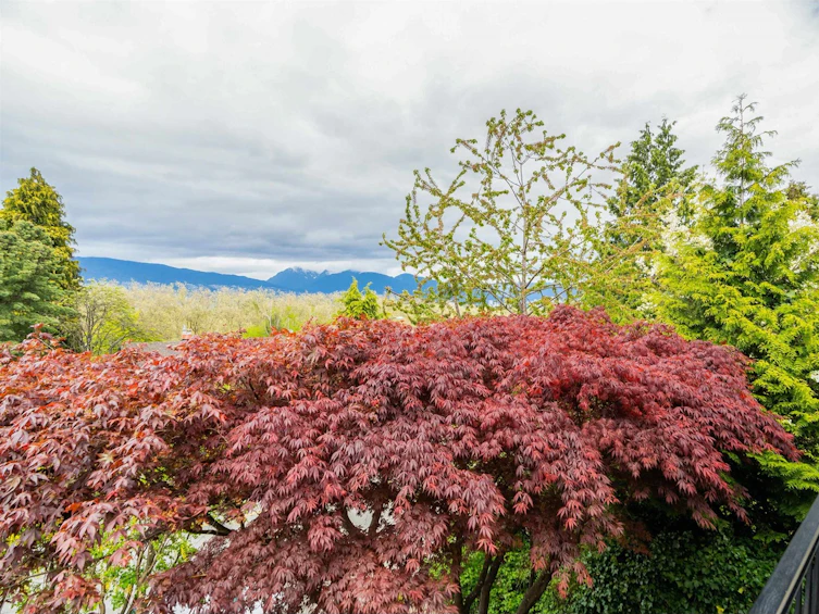 3894 West 10th Avenue, Vancouver, BC, V6R 2G7