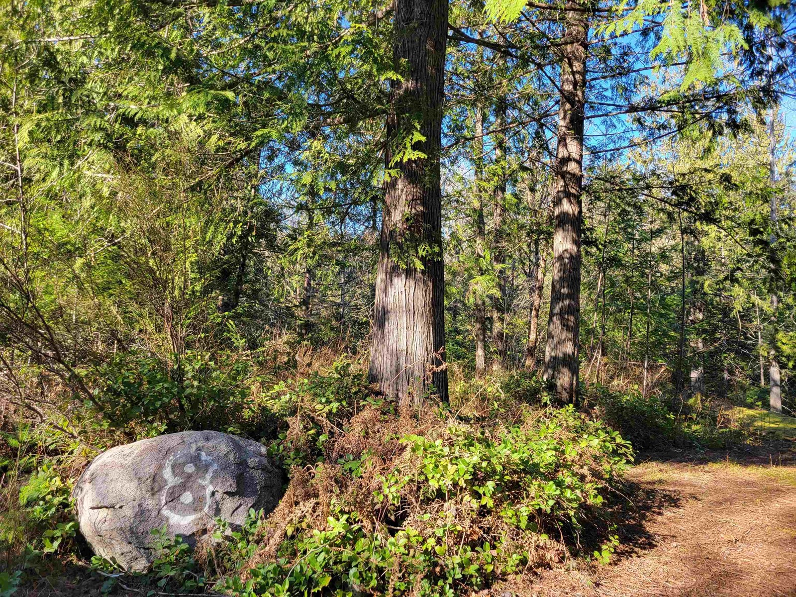 8-13651 Camp Burley Road, Pender Harbour Egmont, BC, V0N 1S1