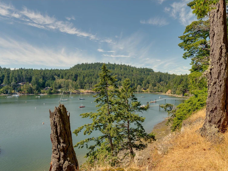 774 Steward Drive, Mayne Island, BC, V0N 2J2