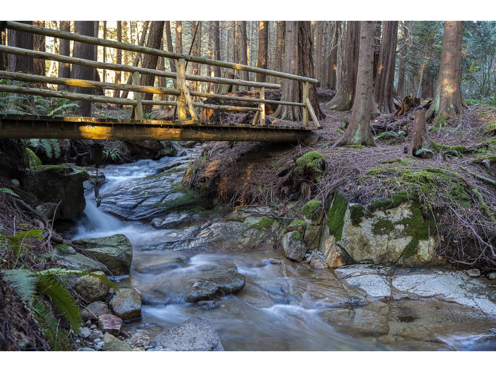 906 Joe Road, Roberts Creek, BC, V0N 2W6