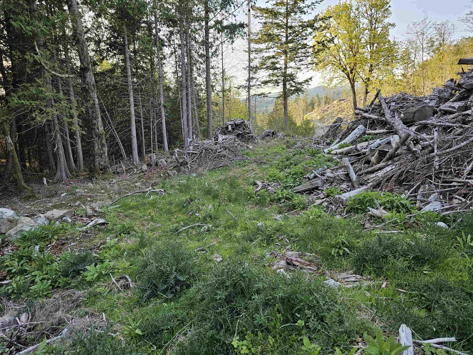 Lot 3 Priestland Road, Halfmoon Bay, BC, V7Z 1B2