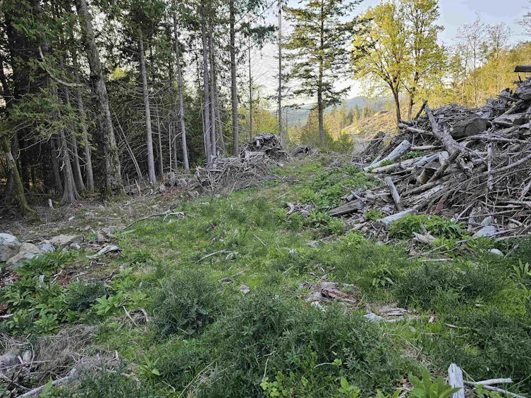 Lot 3 Priestland Road, Halfmoon Bay, BC, V7Z 1B2