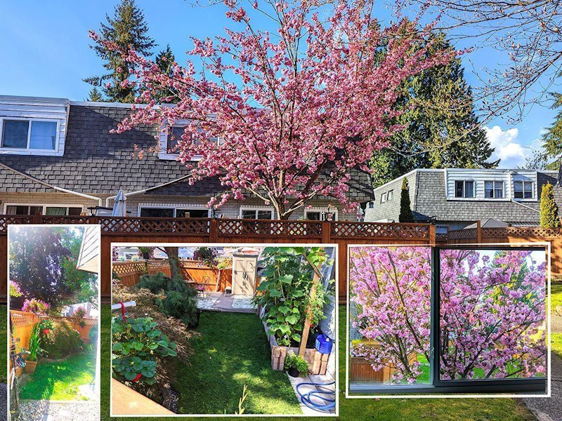 30 - 21555 Dewdney Trunk Road, Maple Ridge BC V2X 3G6