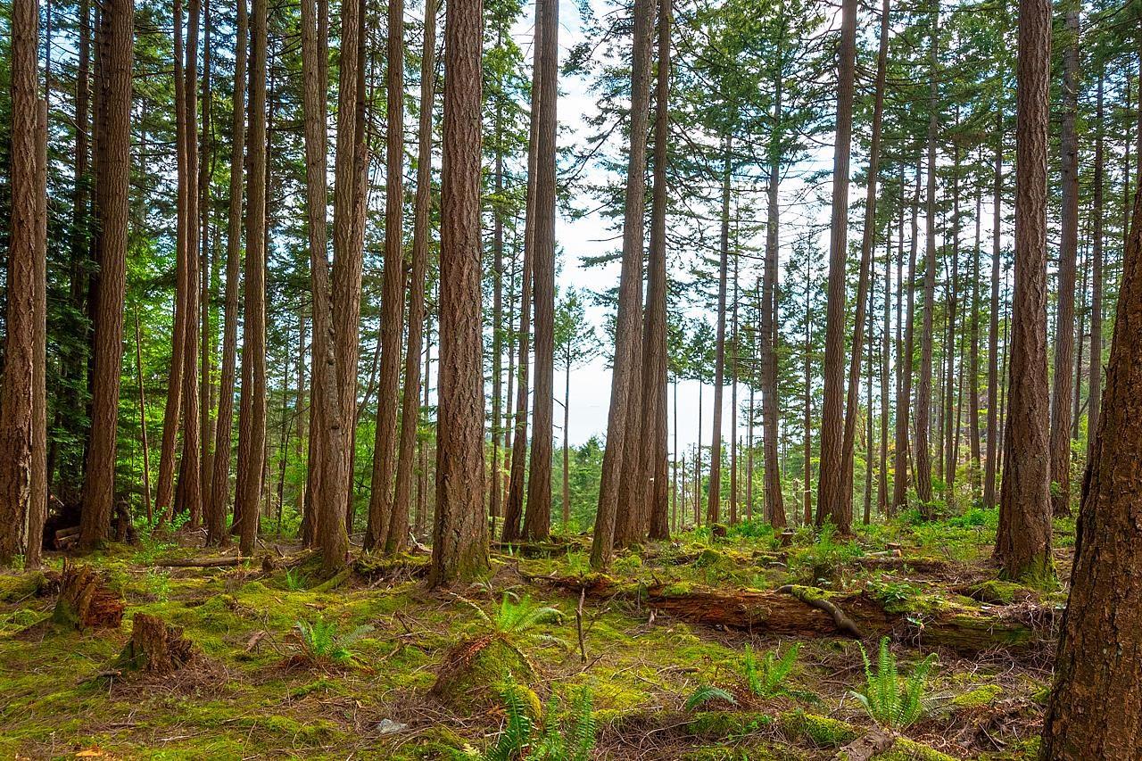 Lot 8 Hayes Road, Bowen Island, BC, V0N 1G2