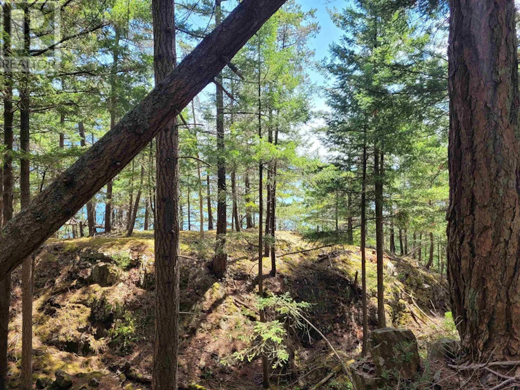 1588 Eagle Cliff Road, Bowen Island, BC, V0N 1G1 - 2