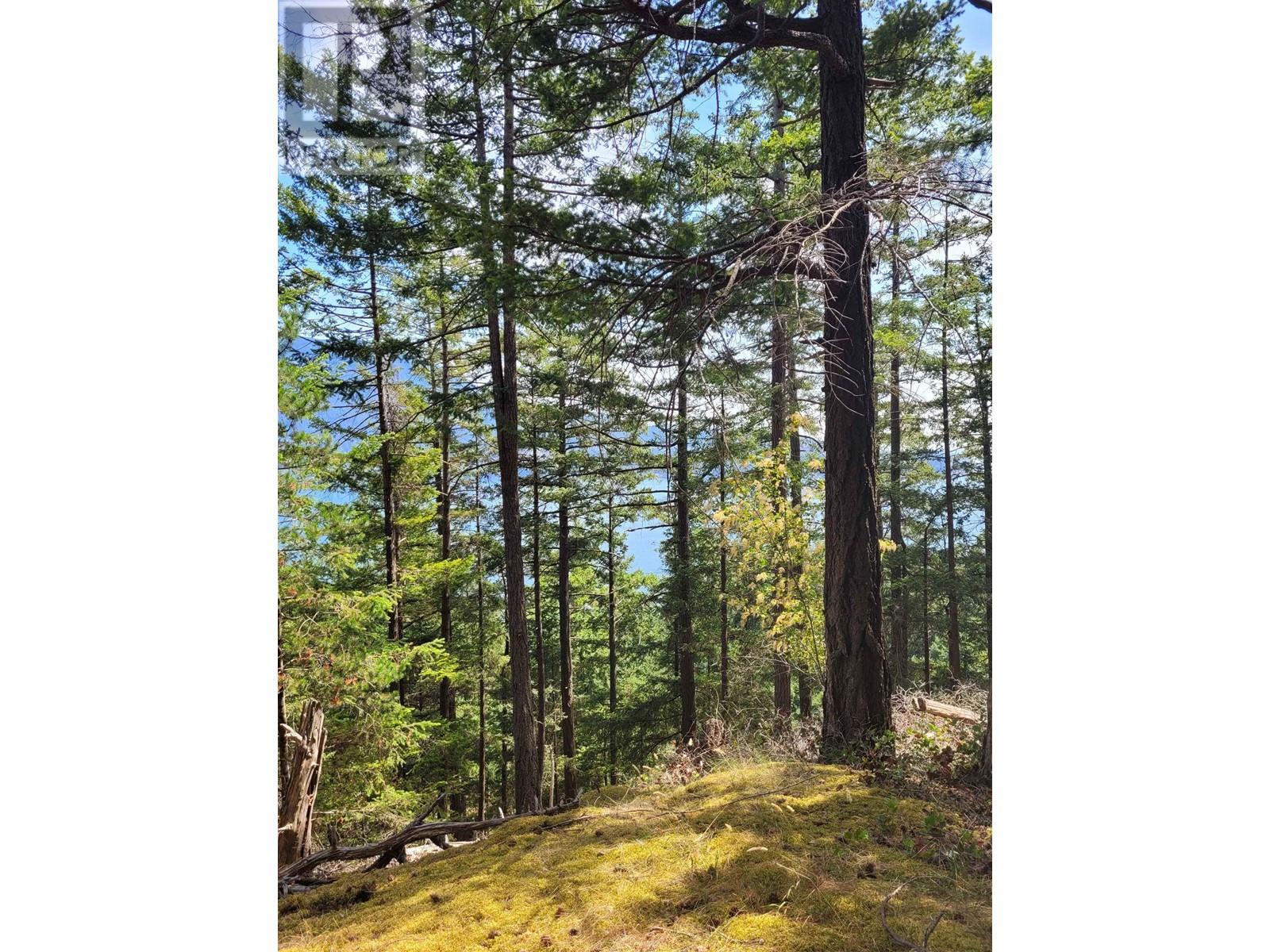 1588 Eagle Cliff Road, Bowen Island, BC, V0N 1G1 - 14
