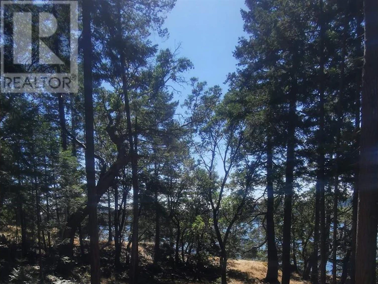 LOT 9 Beechwood Drive, Mayne Island, BC, V0N 2J2 - 5