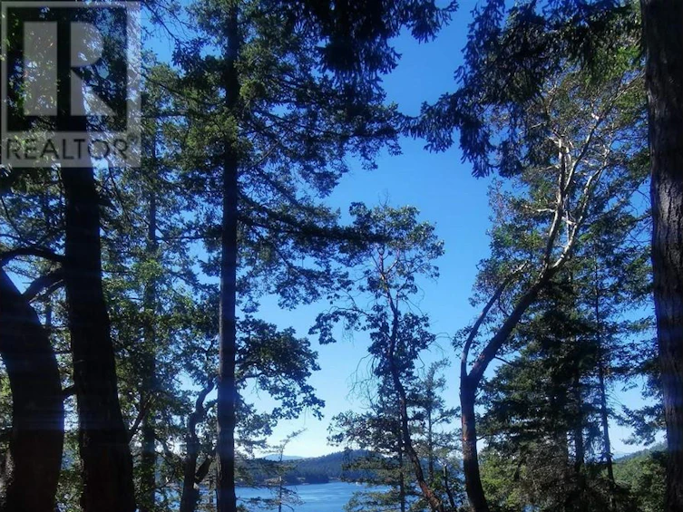 LOT 9 Beechwood Drive, Mayne Island, BC, V0N 2J2 - 7