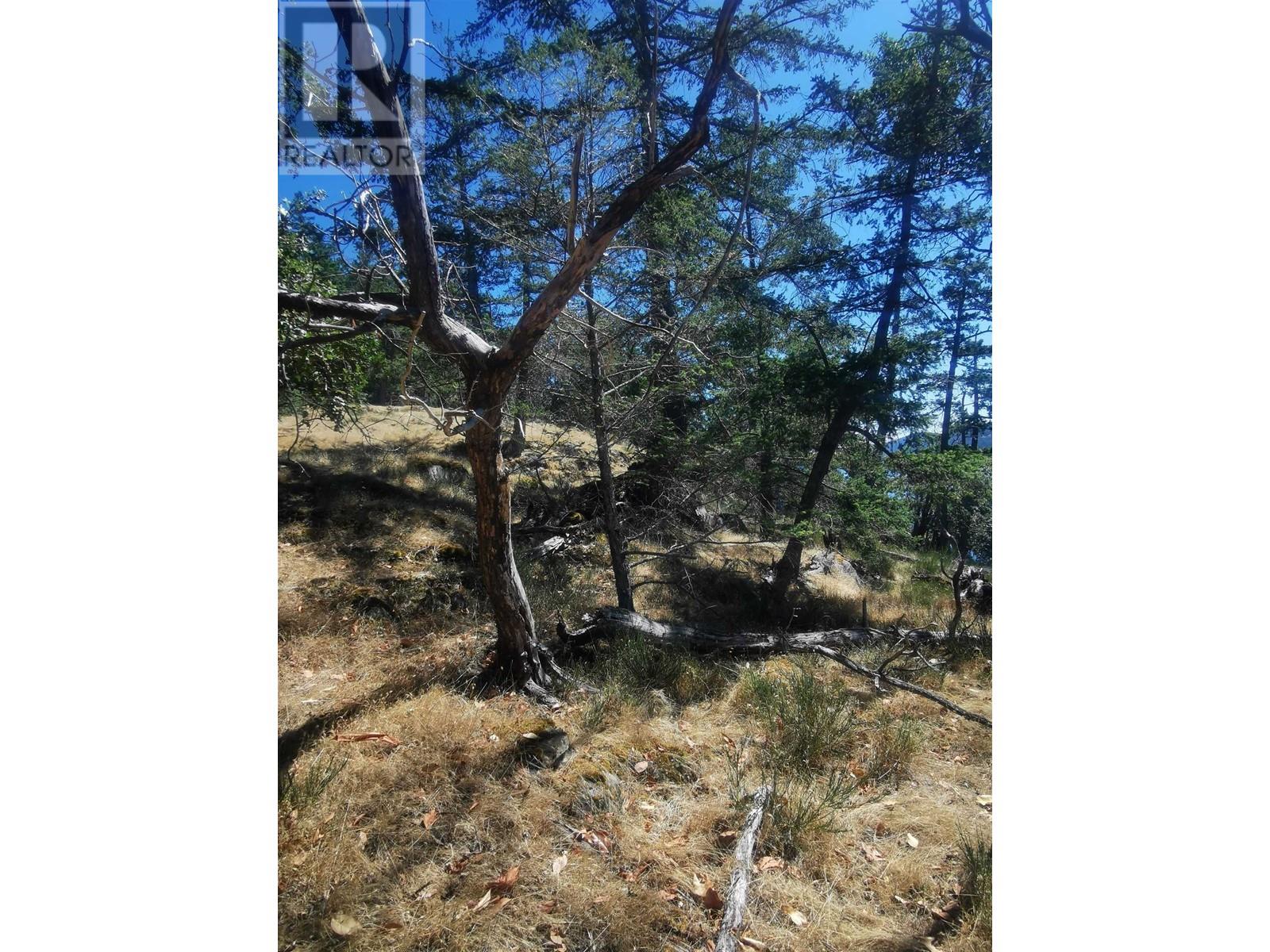 LOT 9 Beechwood Drive, Mayne Island, BC, V0N 2J2 - 8