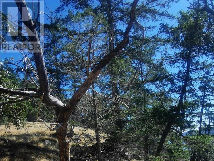 LOT 9 Beechwood Drive, Mayne Island, BC, V0N 2J2 - 8