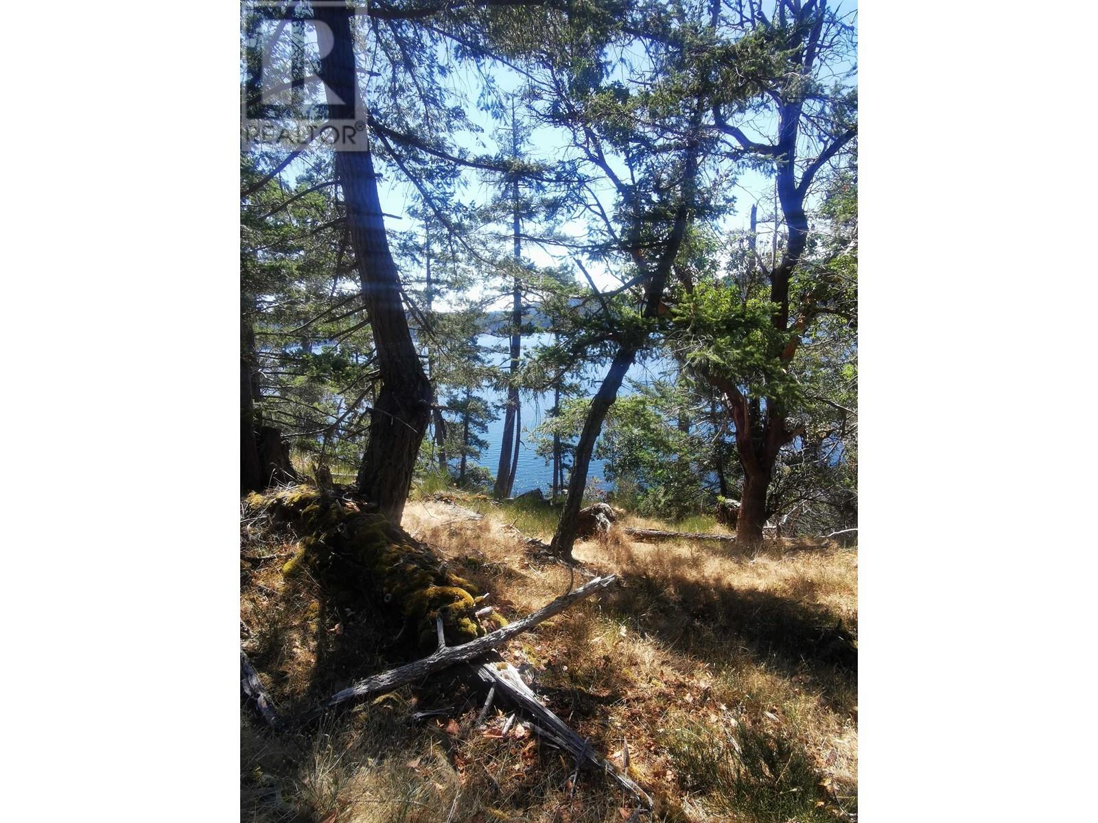 LOT 9 Beechwood Drive, Mayne Island, BC, V0N 2J2 - 10