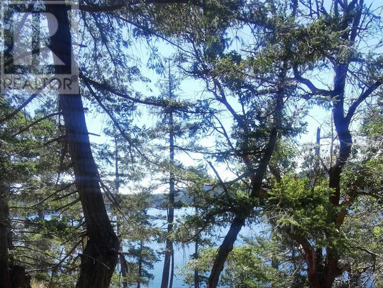 LOT 9 Beechwood Drive, Mayne Island, BC, V0N 2J2 - 10
