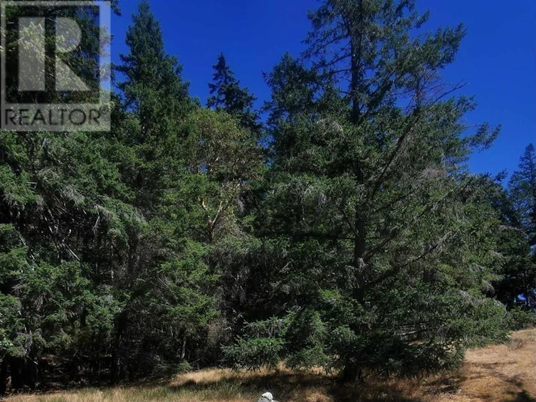 LOT 9 Beechwood Drive, Mayne Island, BC, V0N 2J2 - 11