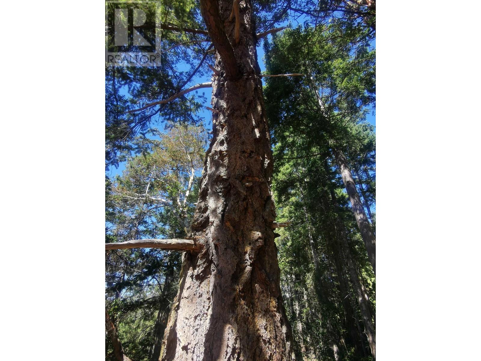 LOT 9 Beechwood Drive, Mayne Island, BC, V0N 2J2 - 12