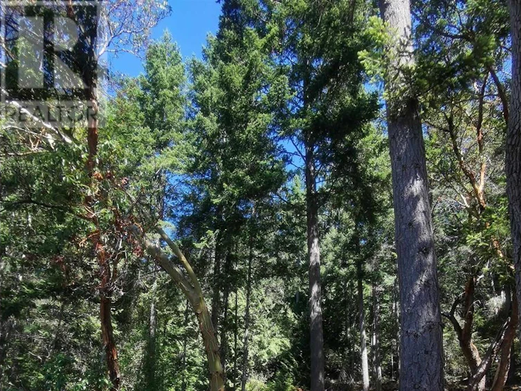 LOT 9 Beechwood Drive, Mayne Island, BC, V0N 2J2 - 14