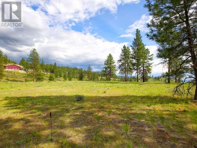LOT 1 Chapman Road Road, Osoyoos, BC, V0H 1V6