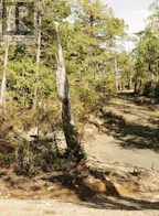 Lot 2 Ittatsoo Bay