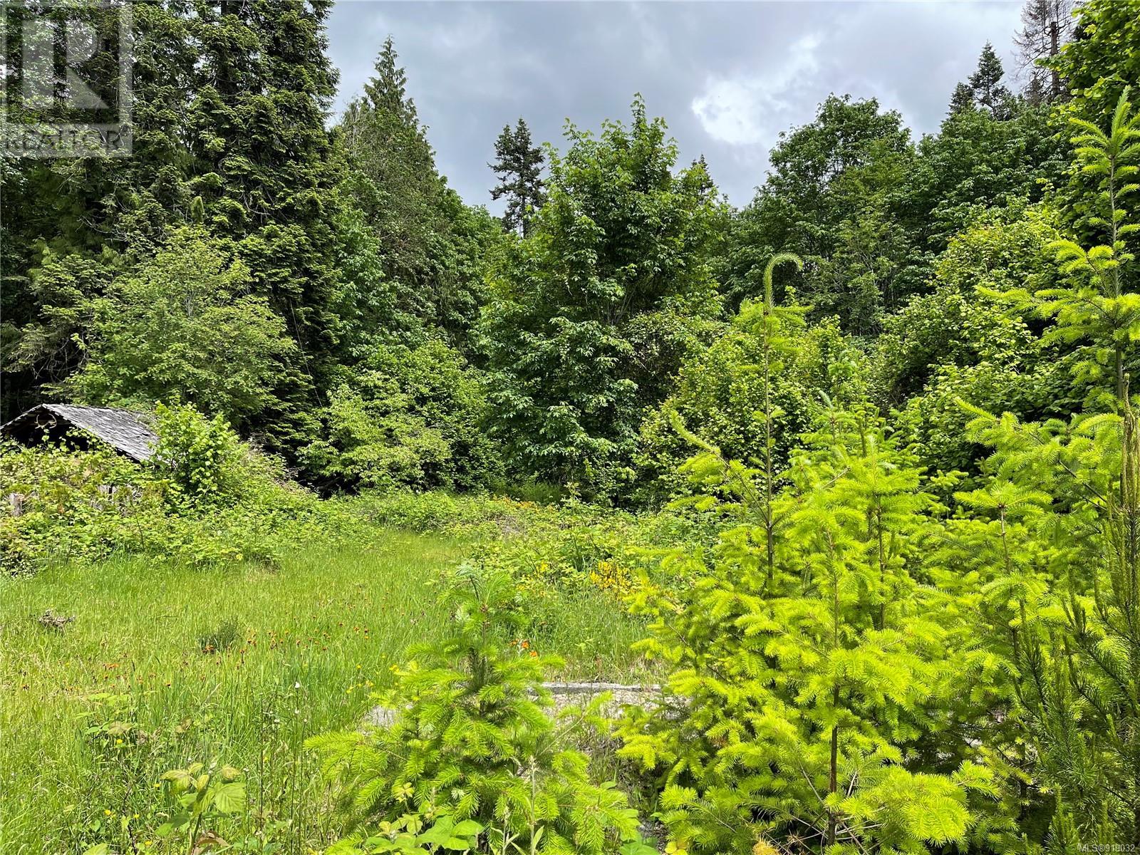 Lot-Lot 16 Brown Road, Port Alberni, BC, V9Y 6Z8