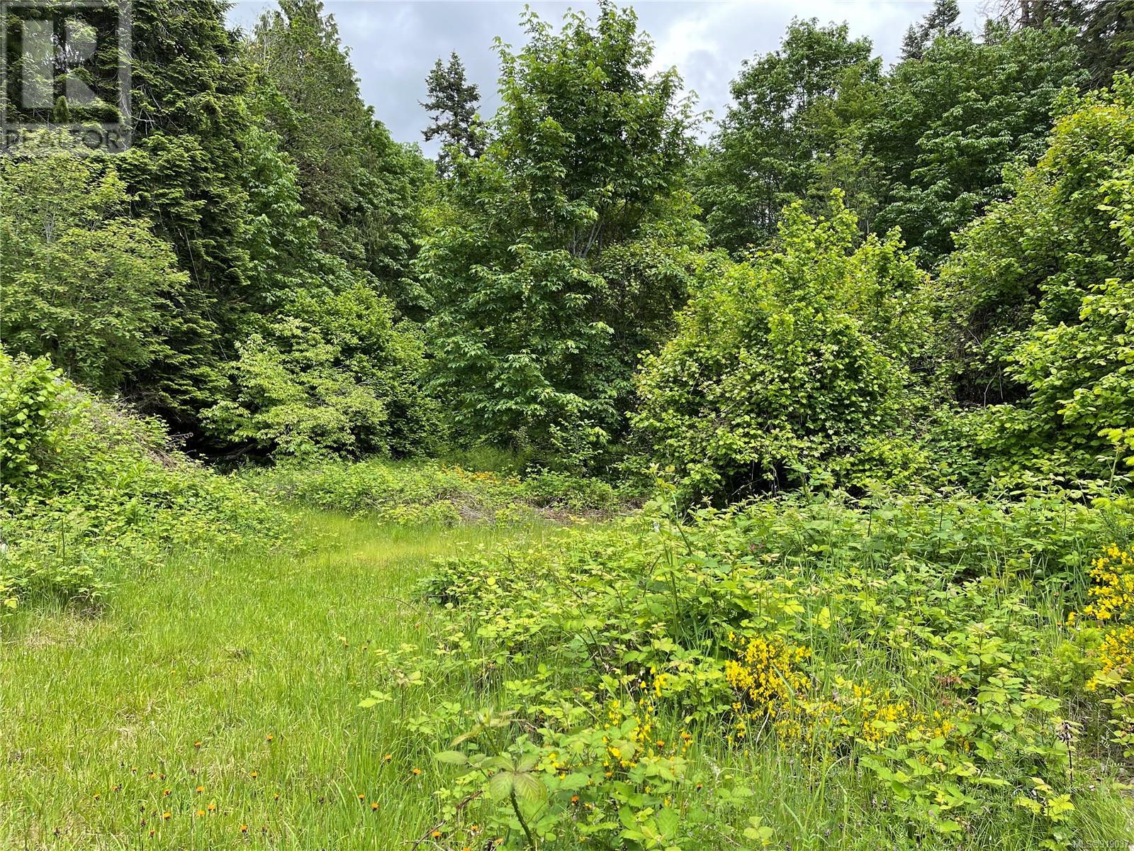 Lot-Lot 17 Brown Road, Port Alberni, BC, V9Y 6Z8