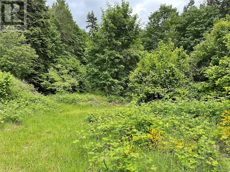 Lot-Lot 17 Brown Road, Port Alberni, BC, V9Y 6Z8