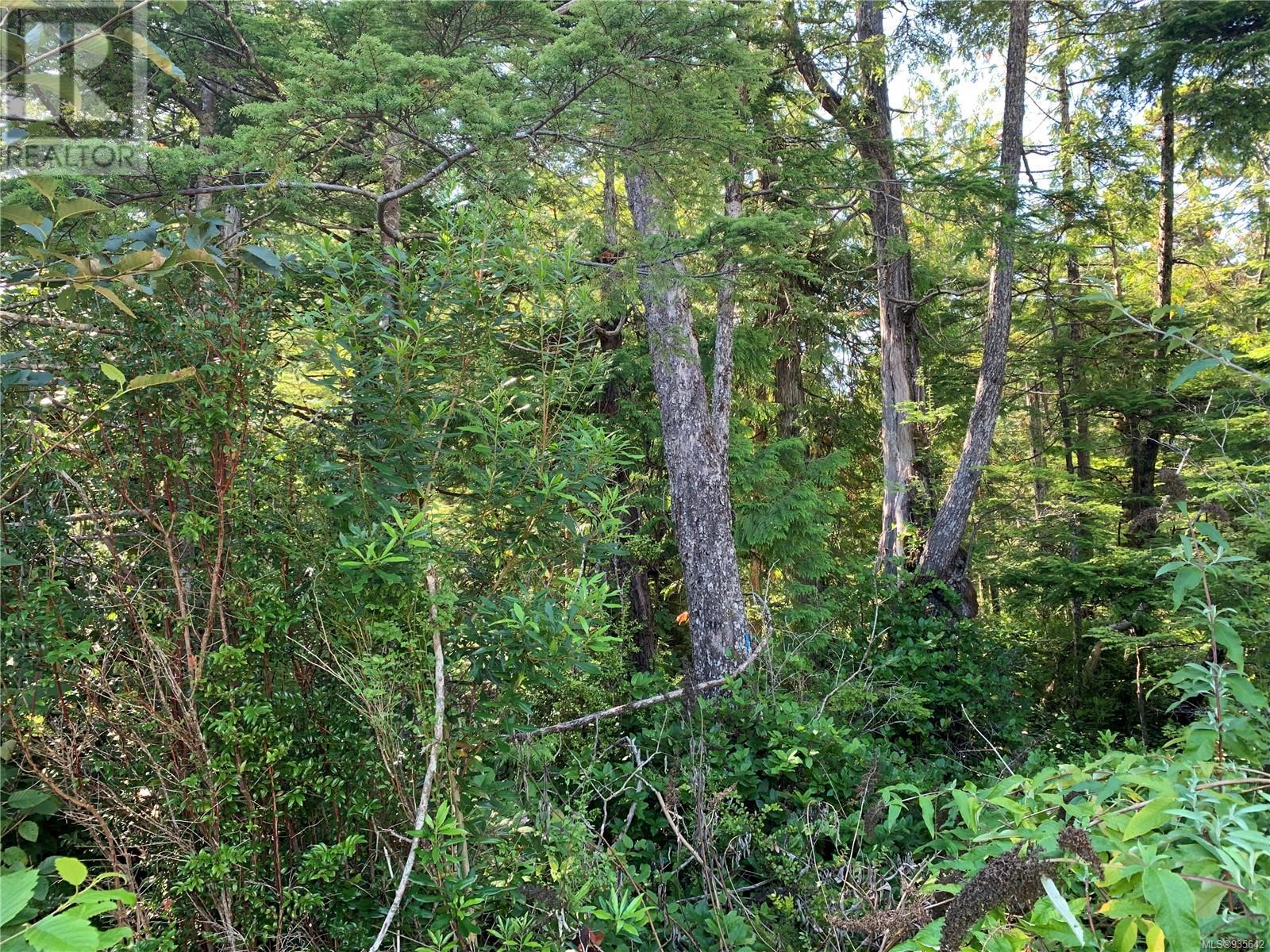 1797 Rainforest Lane, Ucluelet, BC, V0R 3A0 - 3