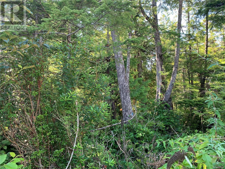1797 Rainforest Lane, Ucluelet, BC, V0R 3A0 - 3