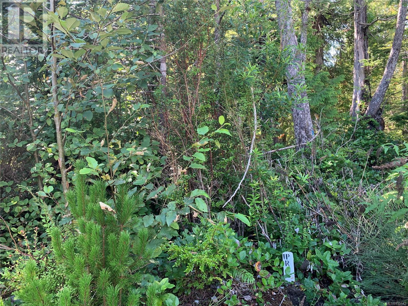 1797 Rainforest Lane, Ucluelet, BC, V0R 3A0 - 4