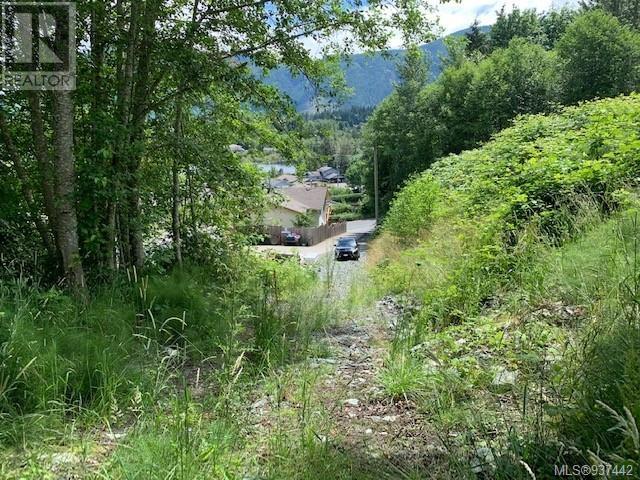 167 River Road, Lake Cowichan, BC, V0R 2G0