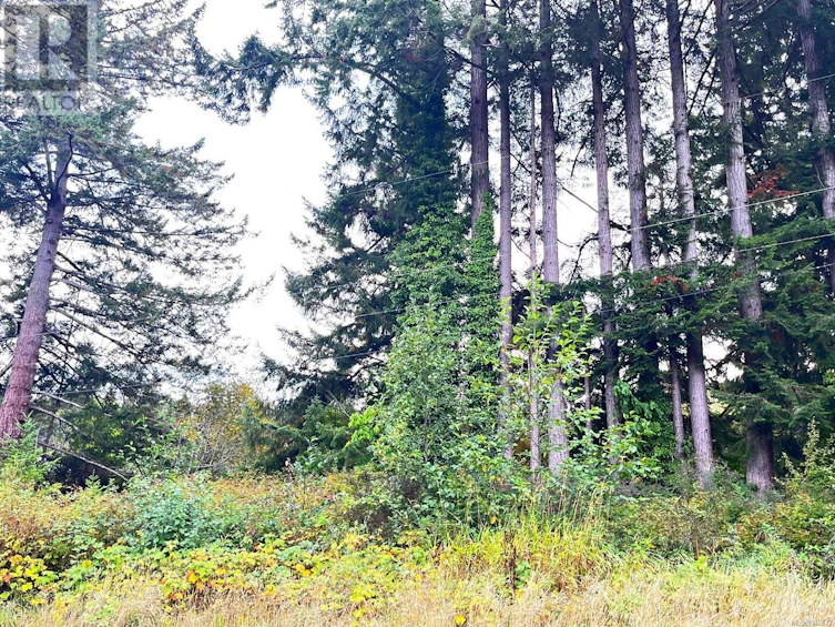 W-6958B West Island Highway, Bowser/Deep Bay, BC, V0R 1G0