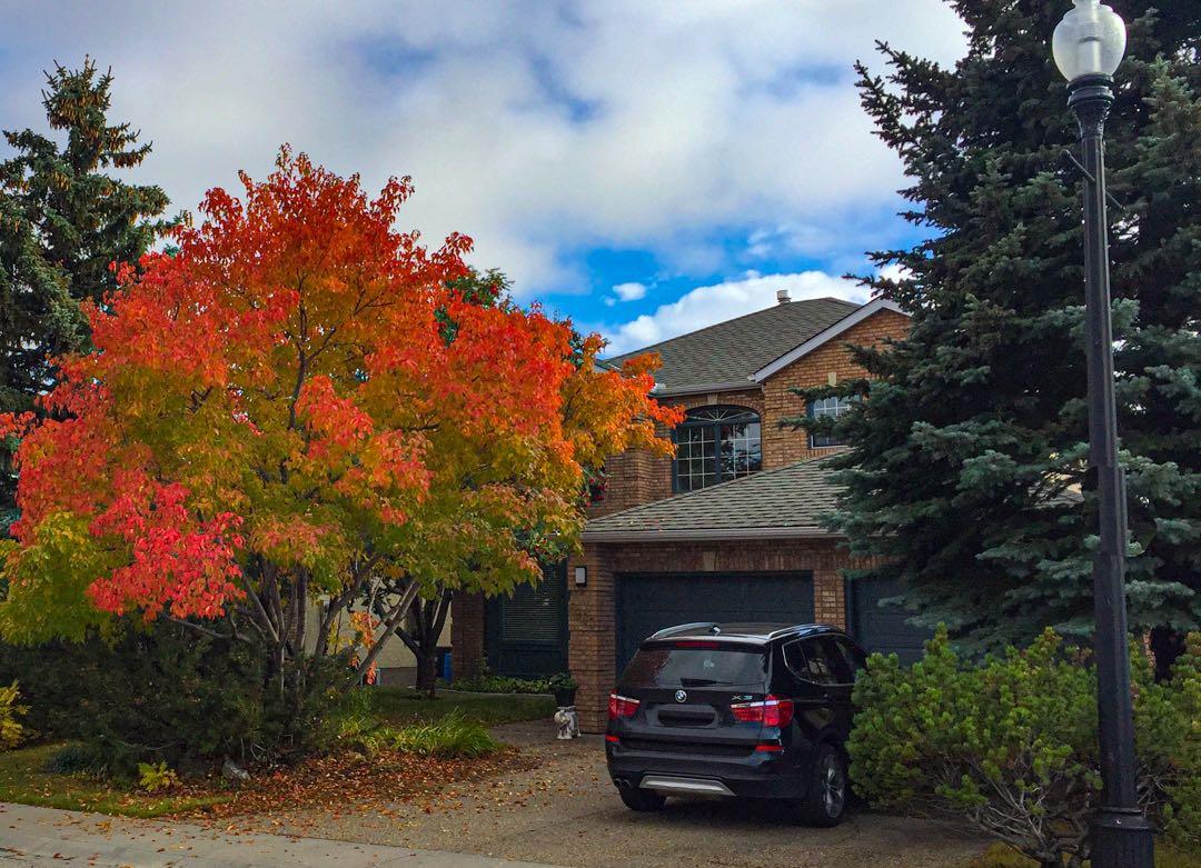 6983 Christie Estate Boulevard SW, Calgary, AB, T3H 2S5