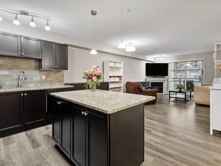 305-30525 Cardinal Avenue, Abbotsford, BC, V2T 0A8