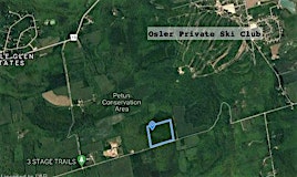 569703-B 6th Sideroad, Blue Mountains, ON, N0H 2E0