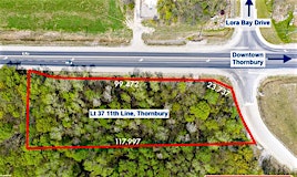 LOT 37 11th Line, Blue Mountains, ON, N0H 2P0