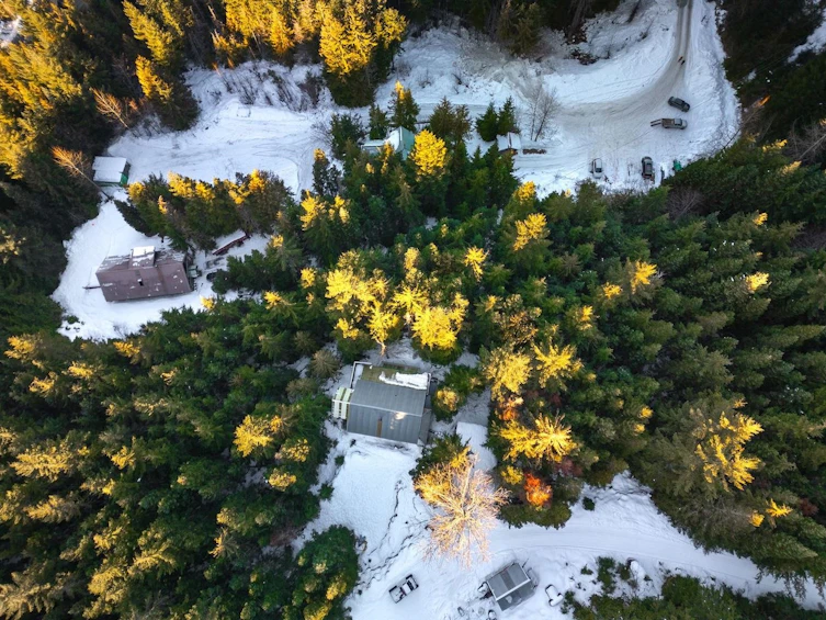 2501 Gondola Way, Whistler, BC, V8E 0B4 - 7