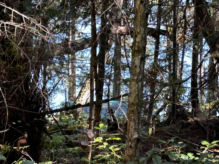 762 Ridge Road, Gulf Islands Other, BC, V0N 1P0 - 19