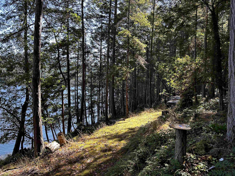 762 Ridge Road, Gulf Islands Other, BC, V0N 1P0 - 8