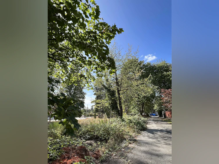 20591 Battle Avenue, Maple Ridge, BC, V2X 1C2 - 2