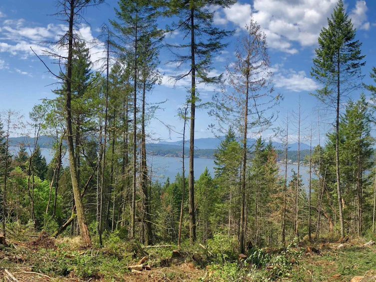 Block B Priestland Road, Halfmoon Bay, BC, V0N 1Y0 - 4