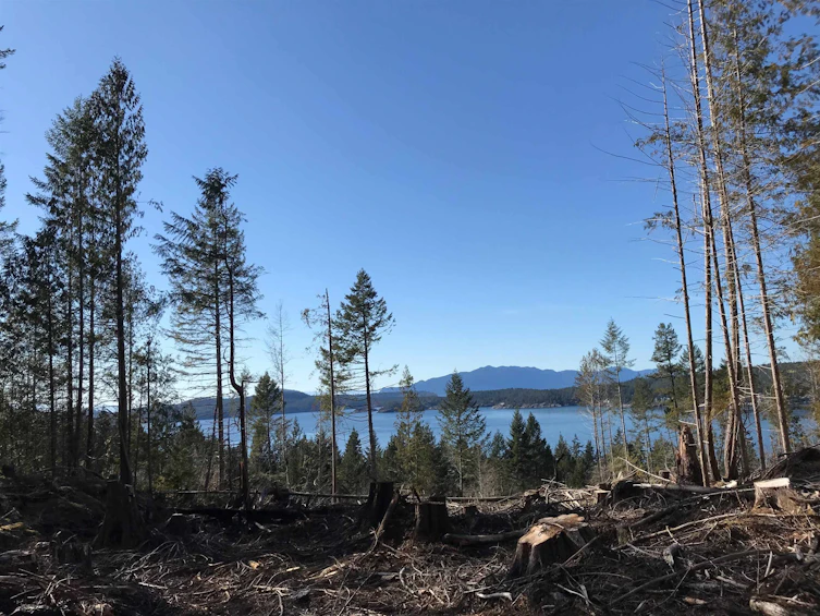 Block B Priestland Road, Halfmoon Bay, BC, V0N 1Y0 - 6