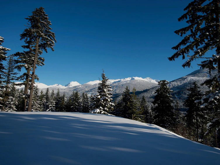5419 Stonebridge Drive, Whistler, BC, V8E 0V9 - 5