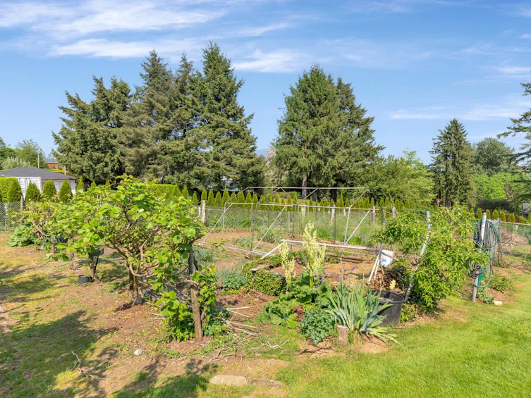34578 Ireland Avenue, Mission, BC, V2V 6W1 - 10